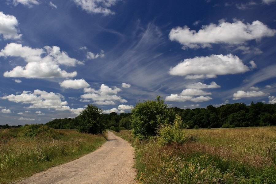 Про лето. Автор: Павел Дунюшкин , Павел Дунюшкин