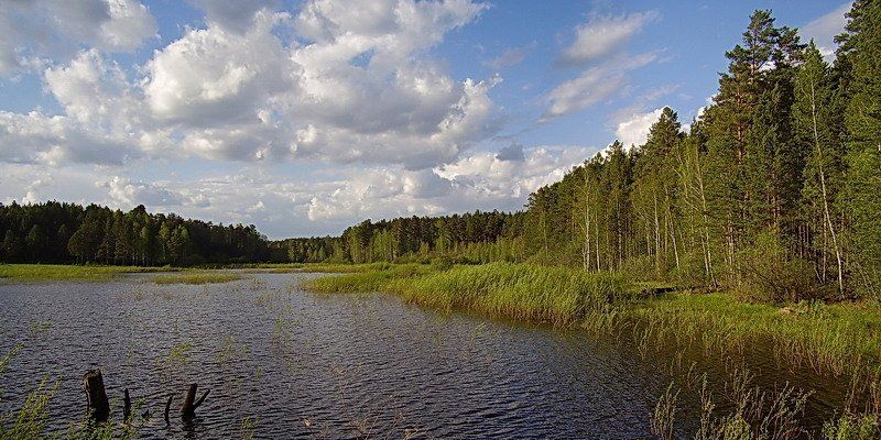 лето, пейзаж, природа, панорама Летний пейзажphoto preview