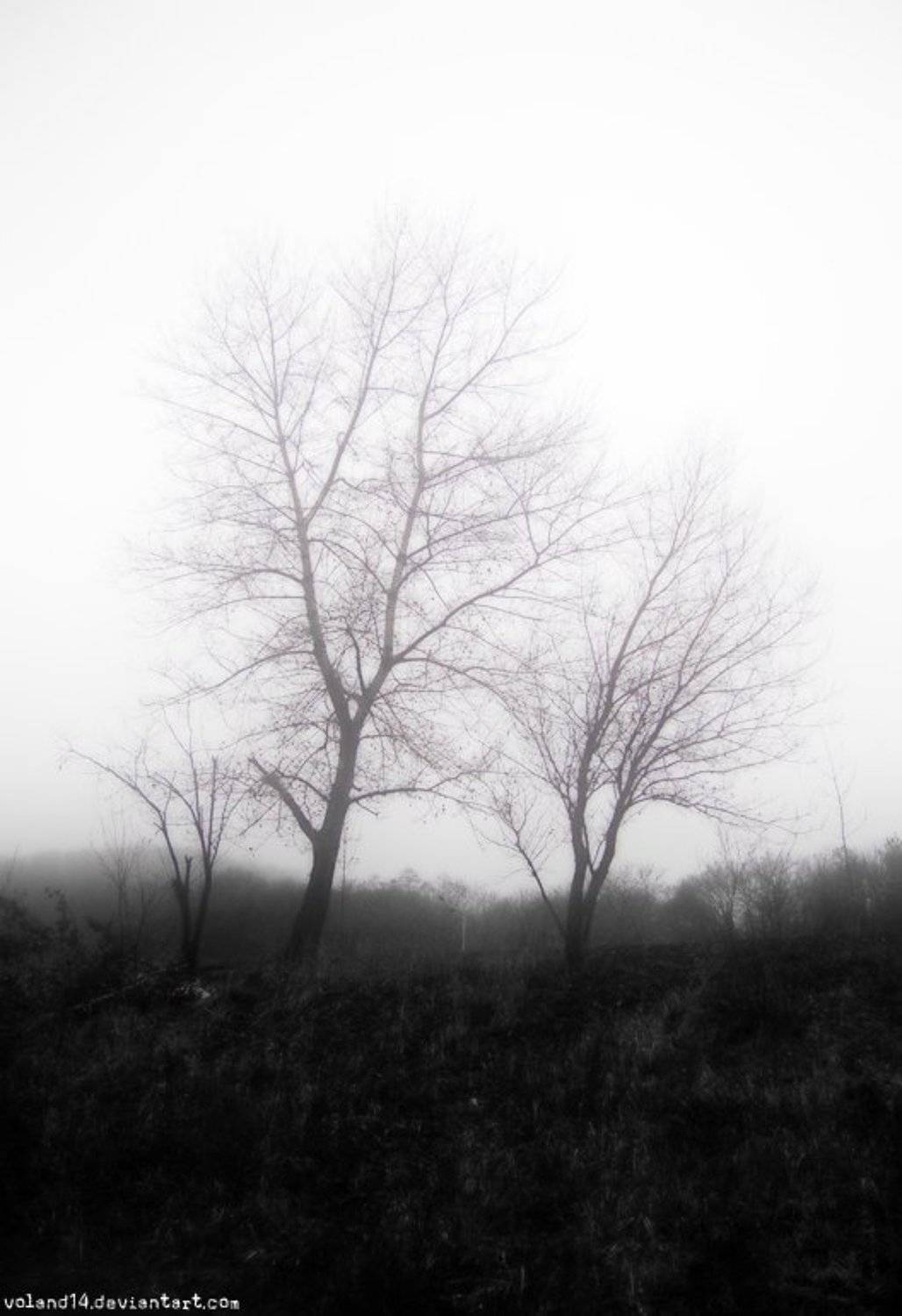 Туман. Автор: Воланд Ратибор , Воланд Ратибор