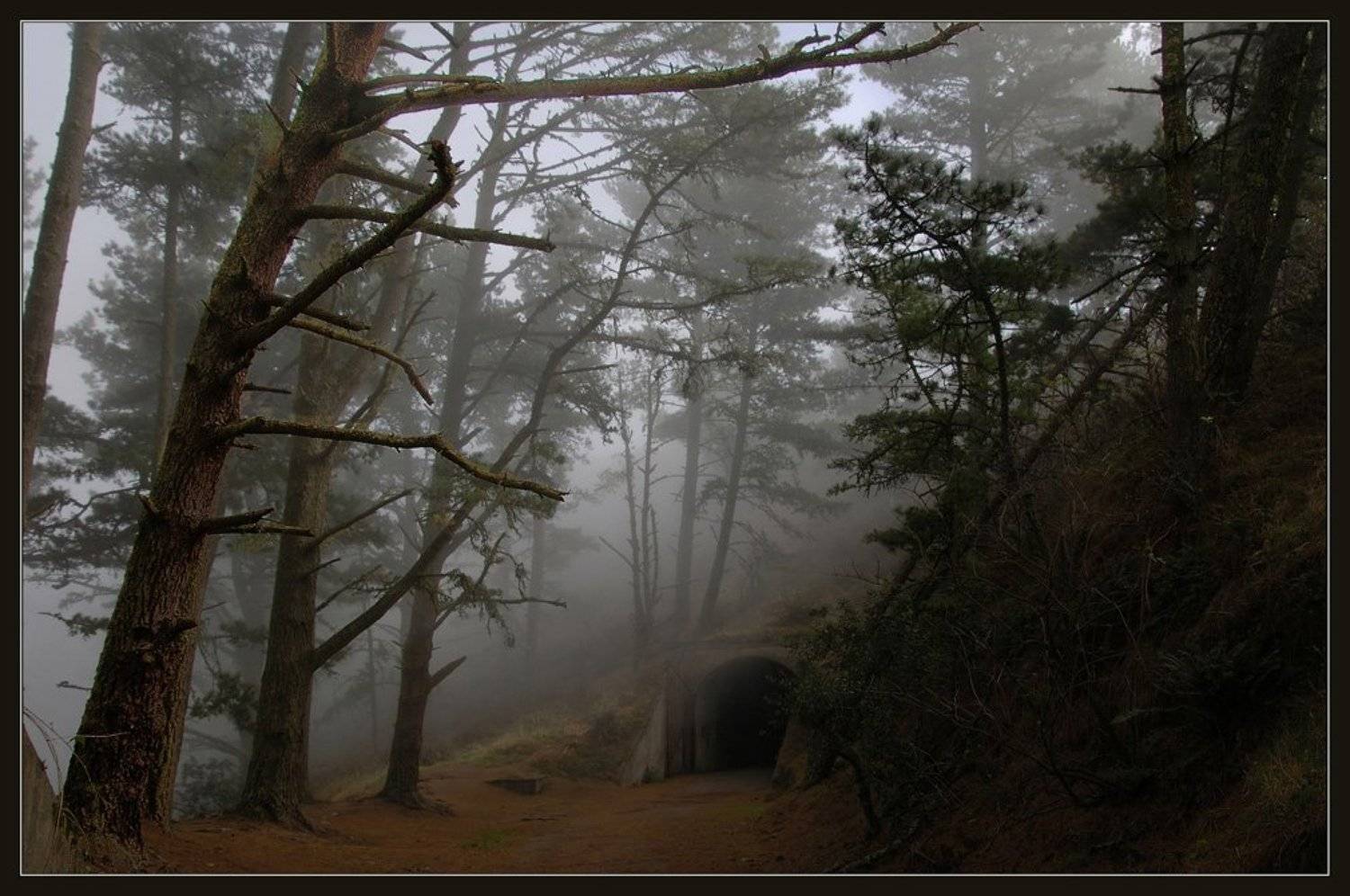 туман, Евгений Иванюшенко