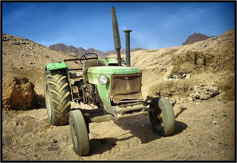 Одноглазый труженик Дахабских песковphoto preview