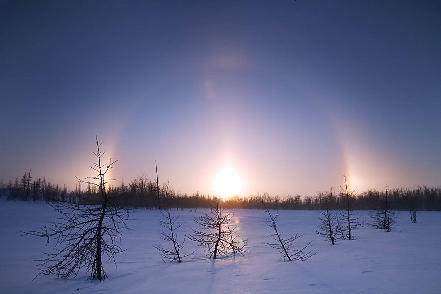Зимняя радуга. северный вариант (гало). Автор: Danil Husainov север, природа, солнечное явления, пейзаж, Danil Husainov