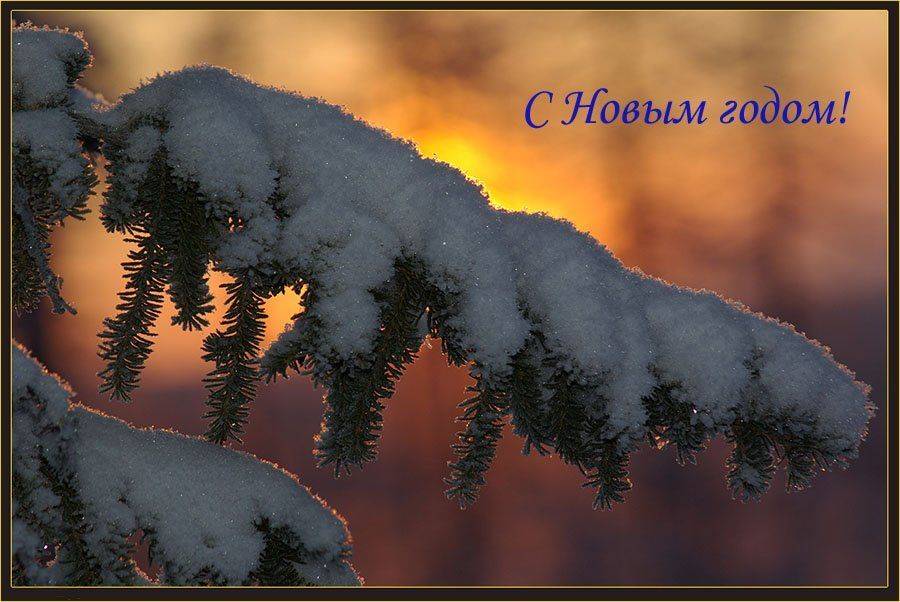 С Новым годом!. Автор: Солодухин Виктор открытка, Солодухин Виктор