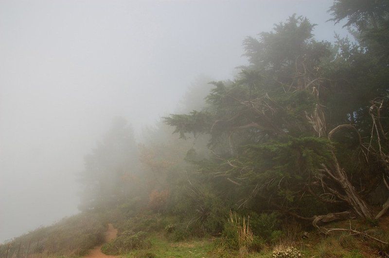 туман Туман 3photo preview