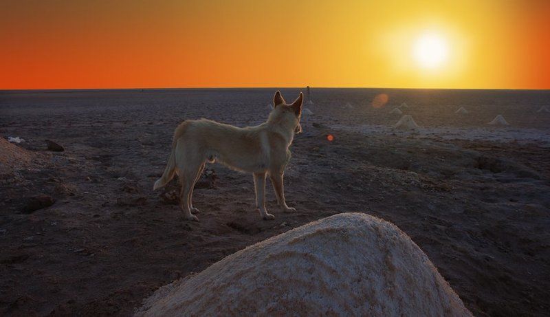 ...соль земли...photo preview