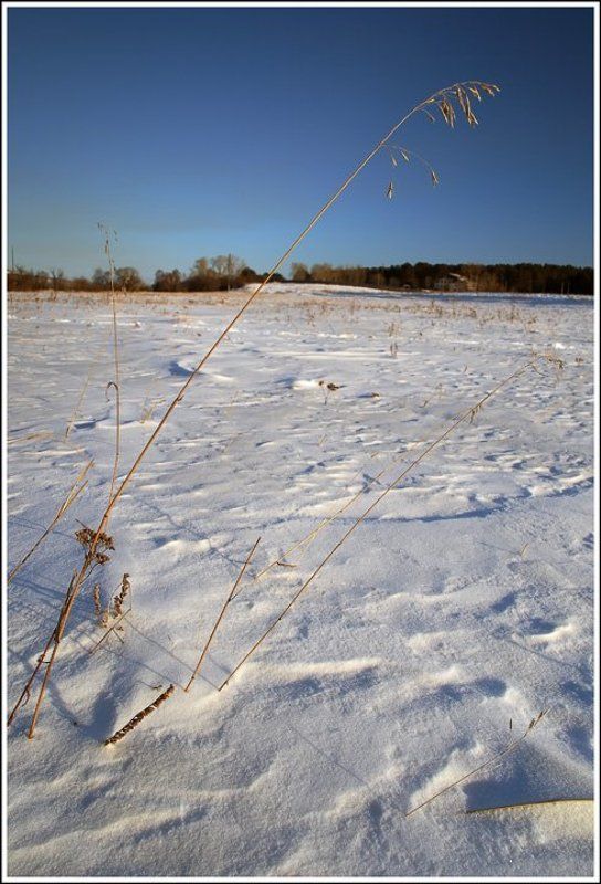 Не сломленнаяphoto preview