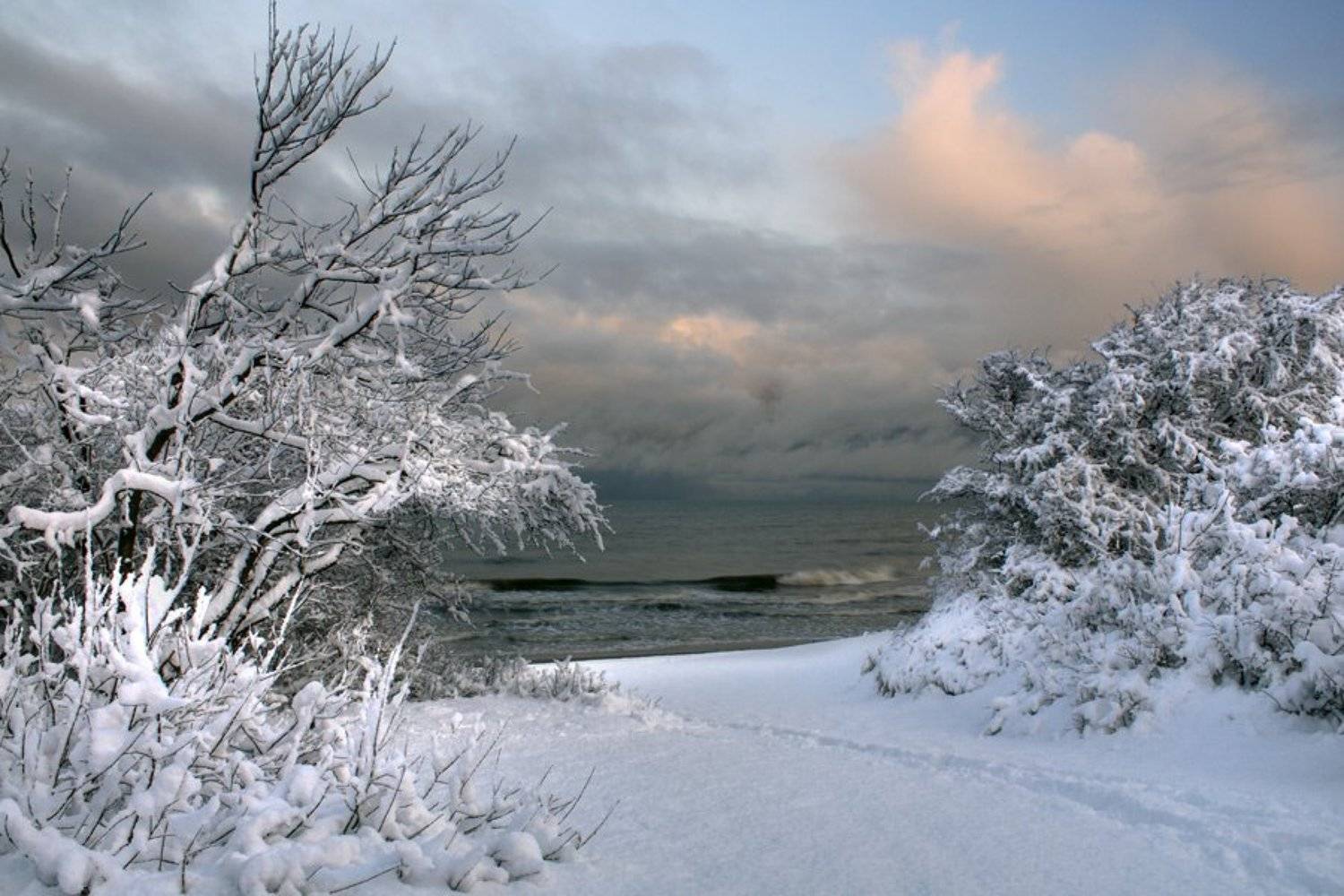 Автор: Павел Дунюшкин , Павел Дунюшкин