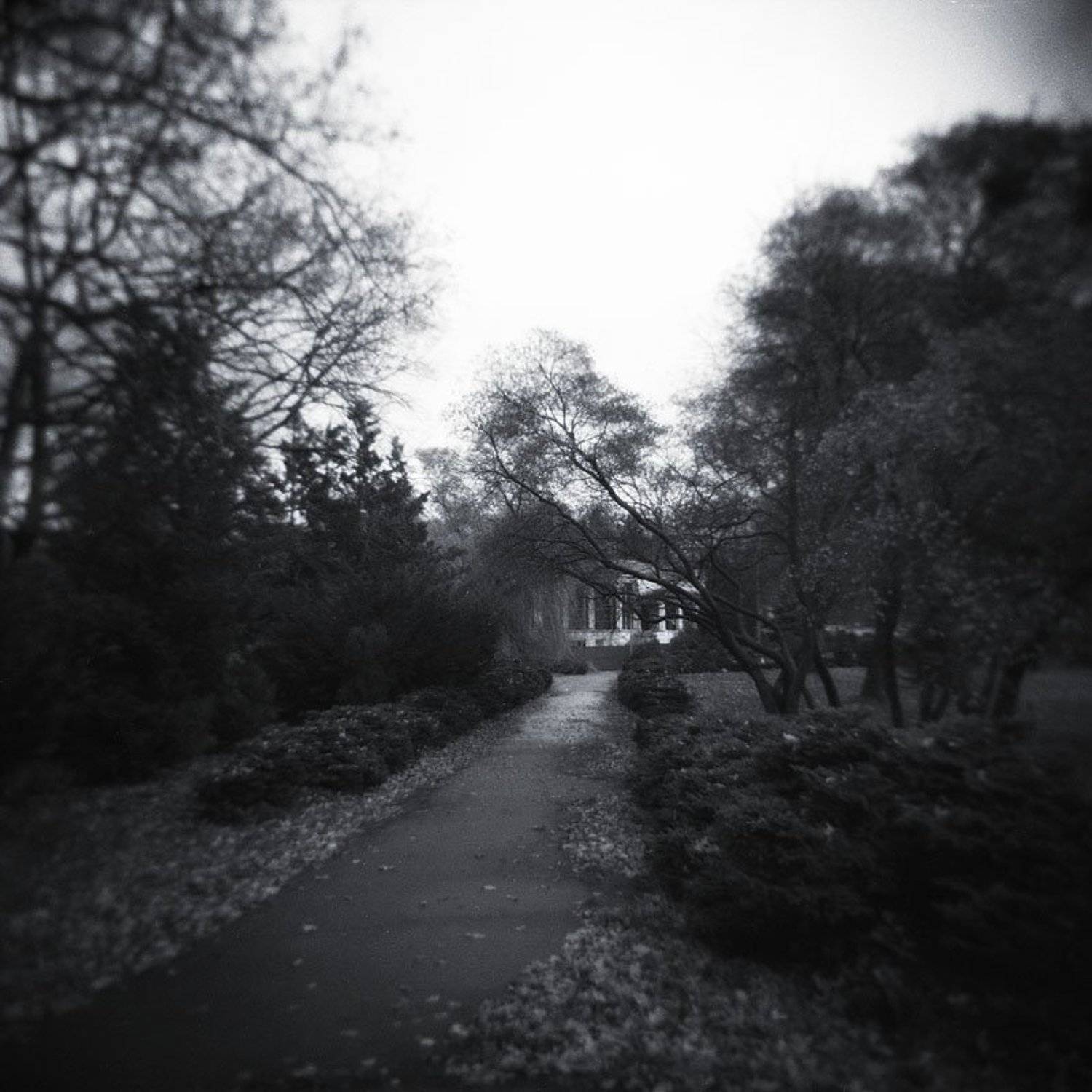 пейзаж, киев, вднх, Olena Savytska