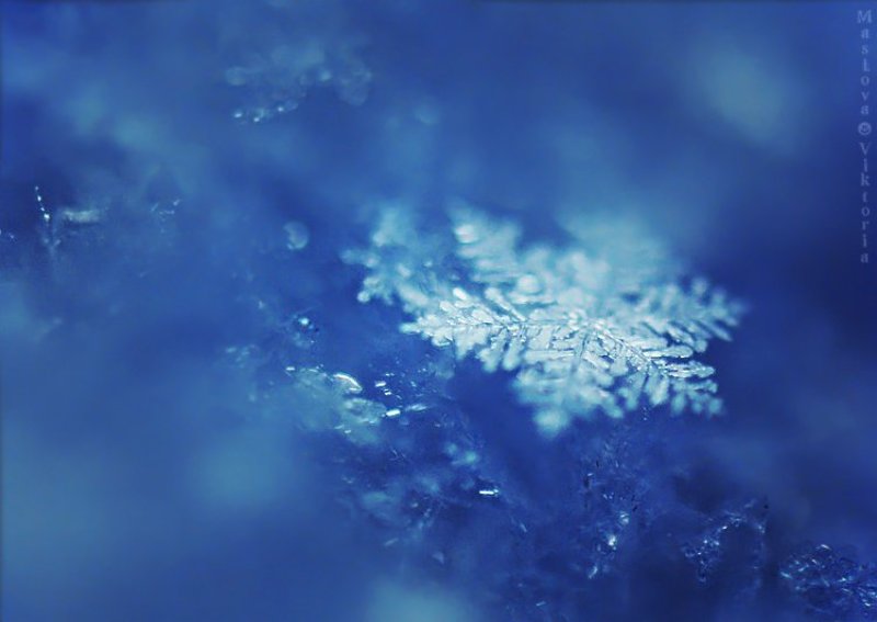 Снежинкаphoto preview