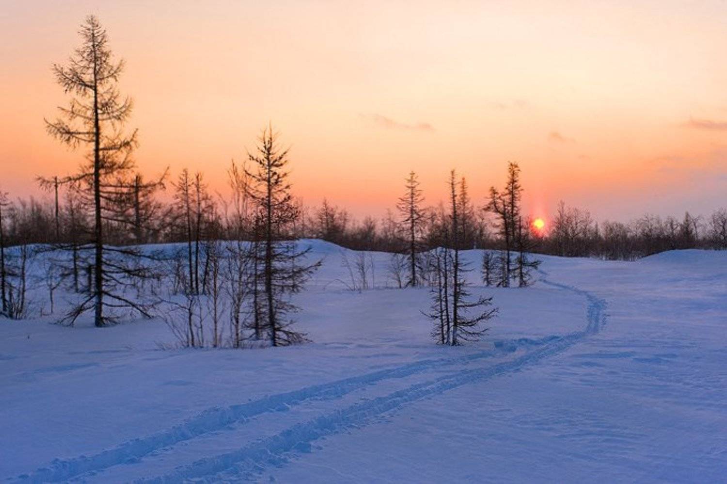 закат, небо, лыжня, Igor Nelinov