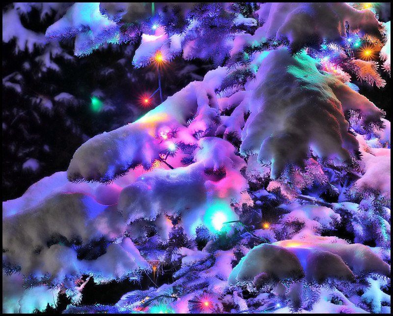 Маленькой ёлочке холодно зимой фото превью