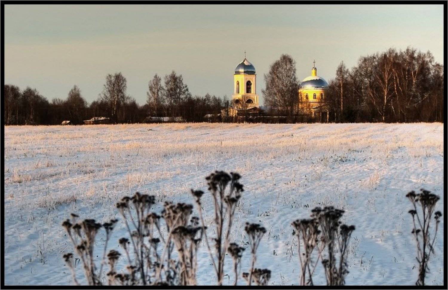 , Лунный Ежик