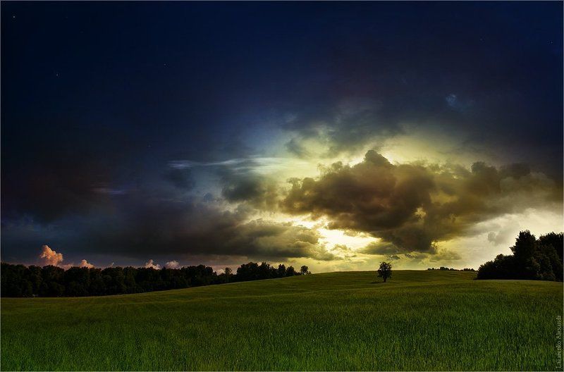 одинокое дерево, дерево, пейзаж, небо, красиво, красивое небо, поляна, поле, дерево в поле один под небомphoto preview