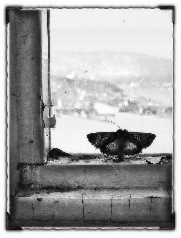 мне бы в небо..photo preview