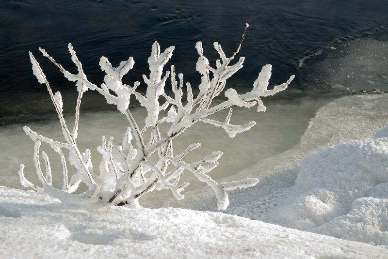 пейзаж, зима,лес Снежный коралphoto preview