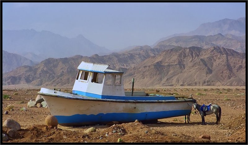 Ну че, типа, приплыли?!photo preview