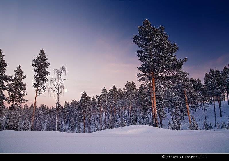 мурманск, зима, Александр Рогачёв