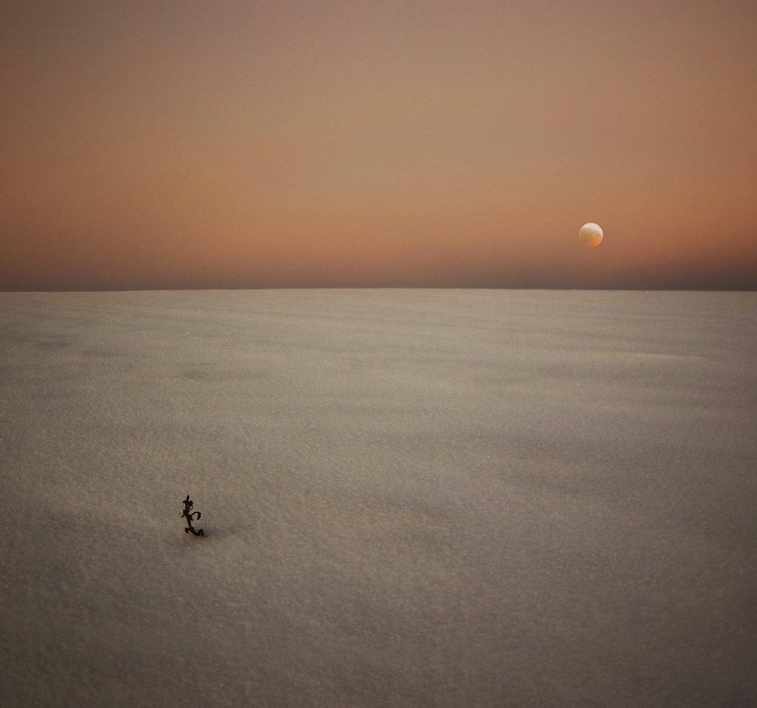 зима, снег, луна, Александр Дубовицкий