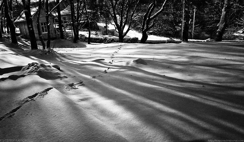 пейзаж, тени Тениphoto preview