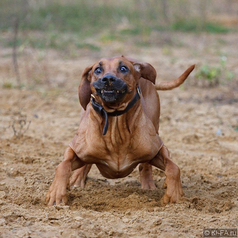 Перегрузки на стартеphoto preview