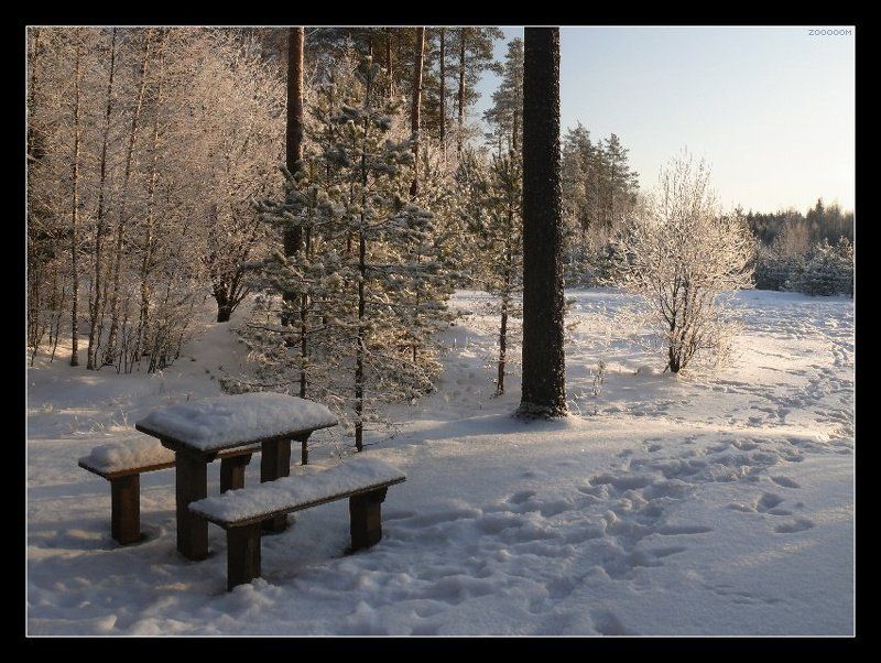 зима Морозный уют фото превью