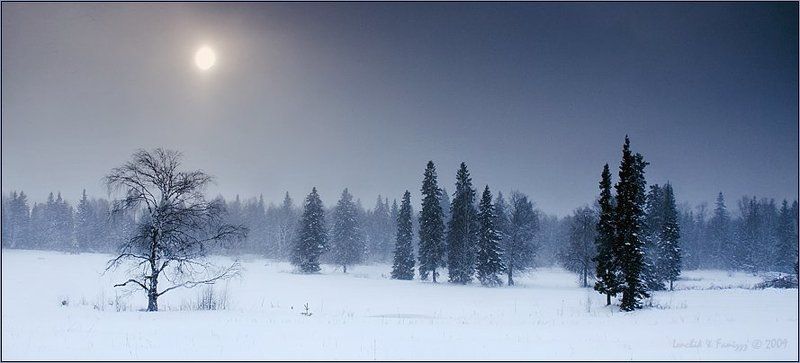 lenchik&faniz Стражники лесаphoto preview