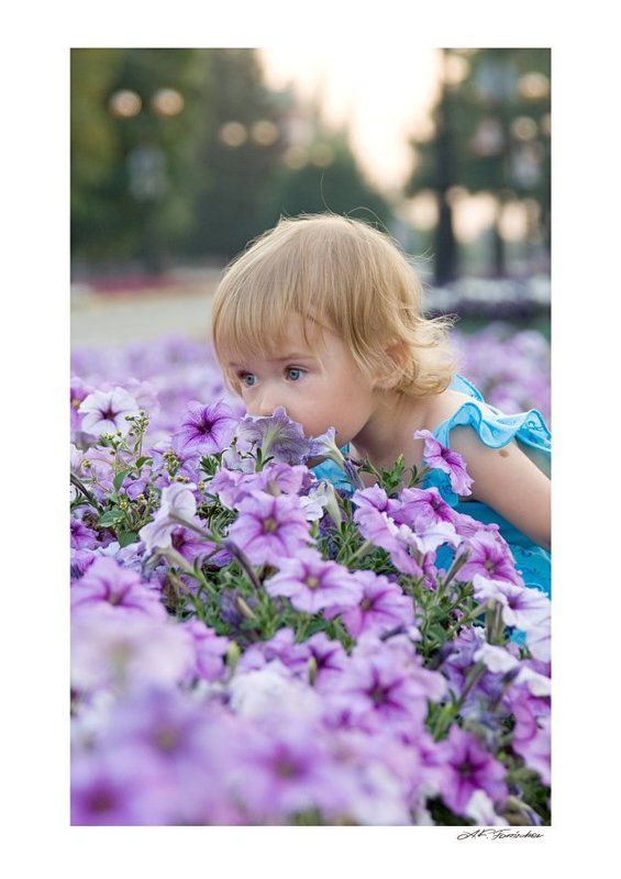 запах питуньиphoto preview