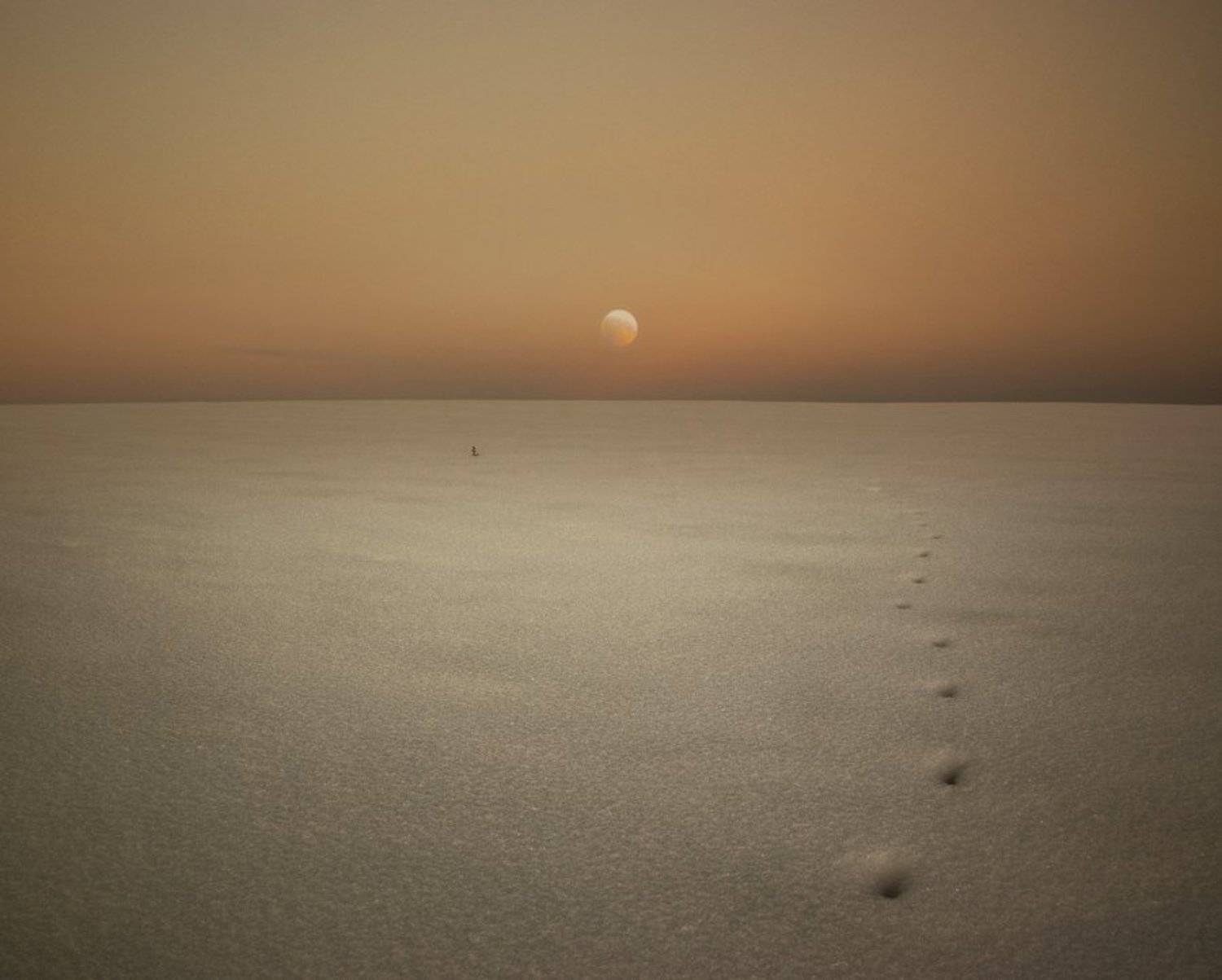 зима, снег, след лунного зайца, Александр Дубовицкий