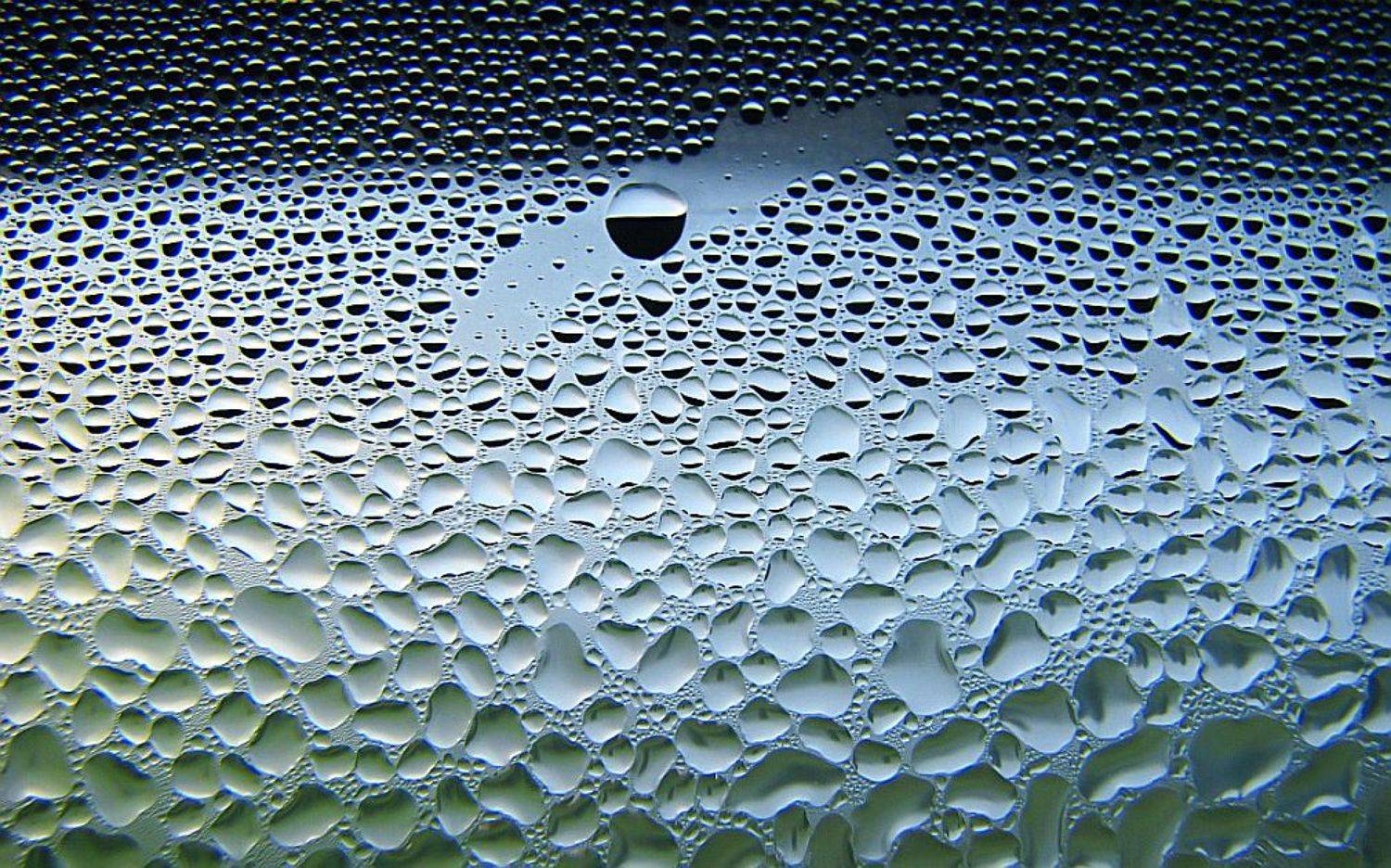 капли, окно, утро, Petlya