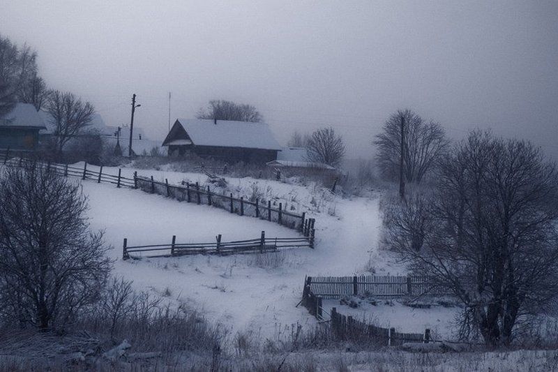 Синеватая зимняя вечерняя картинка с огородами в Б.Никитиноphoto preview
