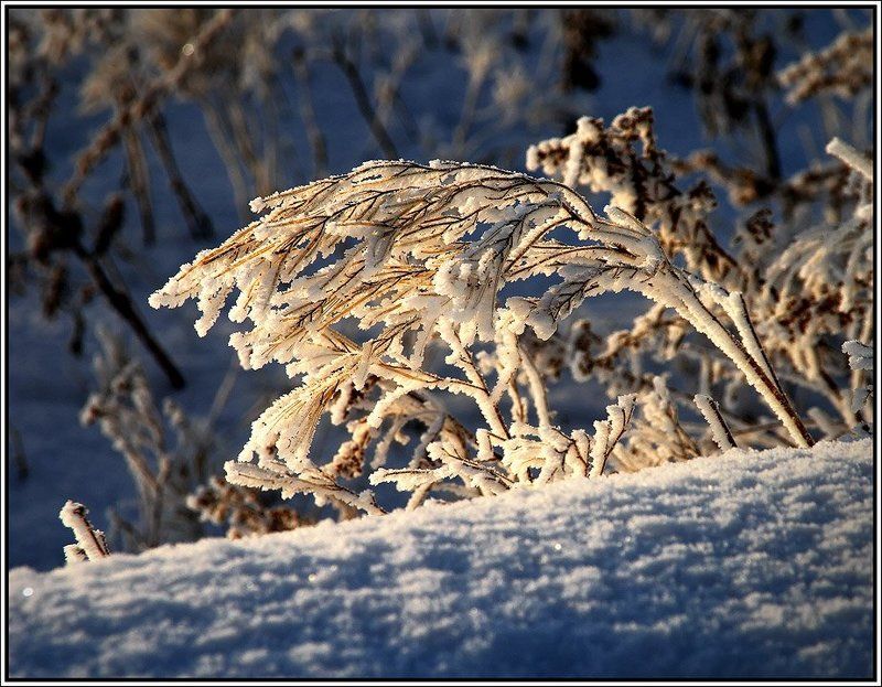 Новогодний нарядphoto preview