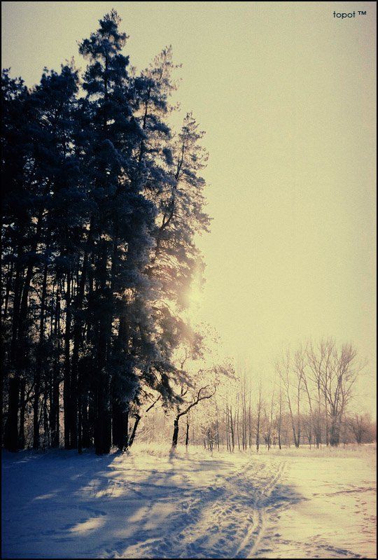 vovk, поворотphoto preview