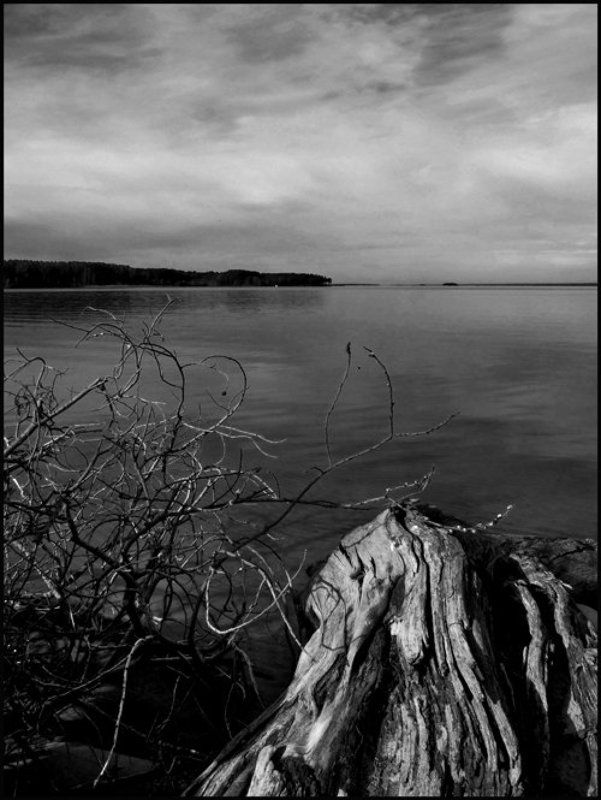 новосибирск,обь photo preview