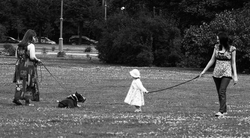 Домашние любимцыphoto preview