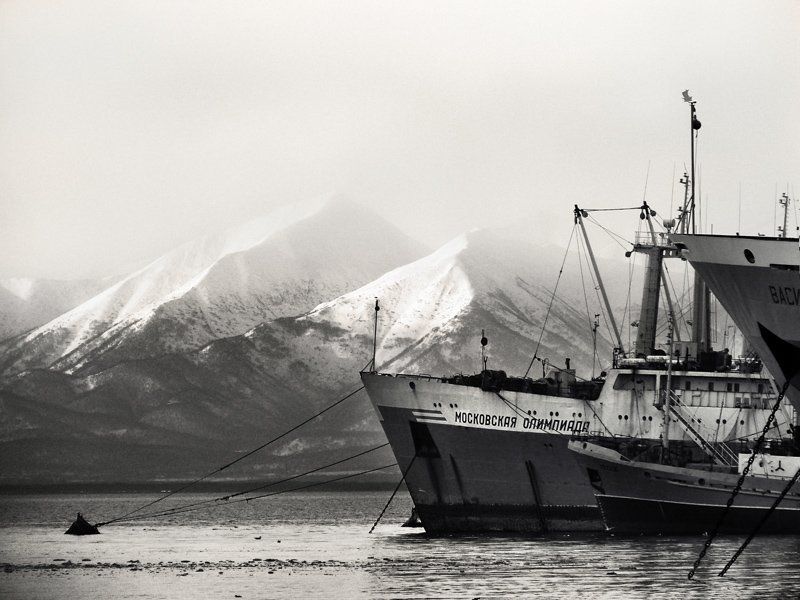 камчатка,гавань,судна,вода,сопки,туман photo preview