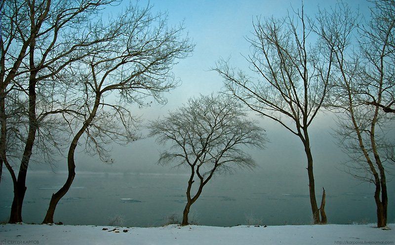 пейзаж, другой, деревья Другойphoto preview