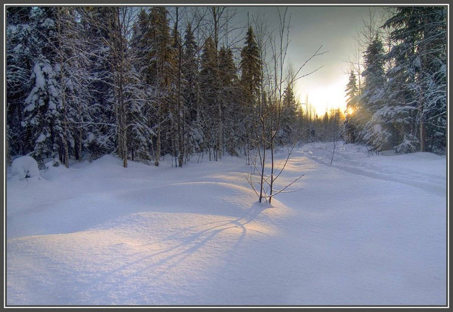 Где то там, на севере... Автор: Алексей , Алексей