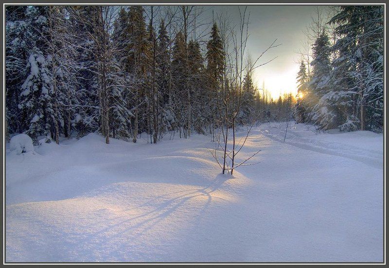 Где то там, на севере..photo preview