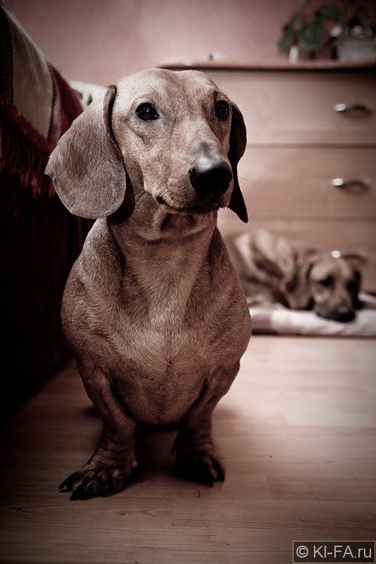 Таксикphoto preview