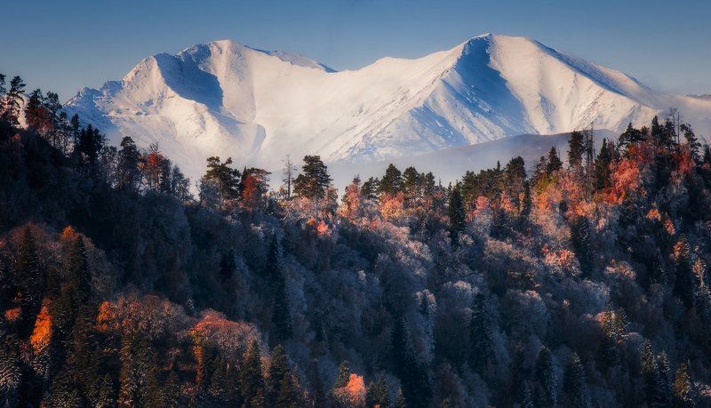 МЕЖДУ ОСЕНЬЮ  И  ЗИМОЙ -2photo preview