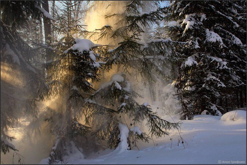 Сказки зимнего лесаphoto preview