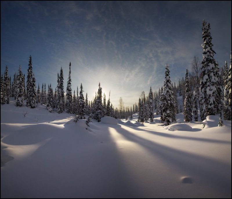 Зима, Кузнецкий Алатау, Пихты, Тени, Утро, Ярославский Виталий Утро в Пестрых Горахphoto preview