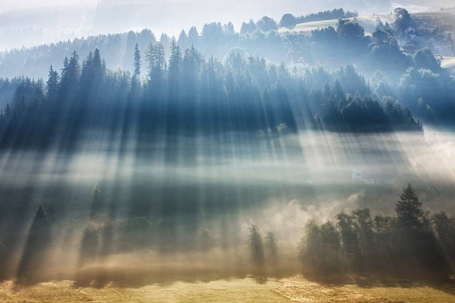 Magical light .... Автор: Boguslaw Strempel Fog, Light, Boguslaw Strempel