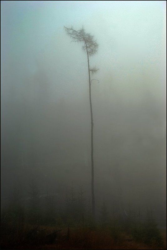 Туманная серия 2(2)photo preview