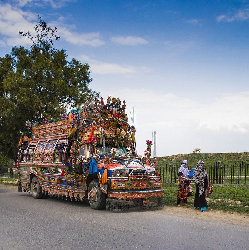 THE MOST BEAUTIFUL BUS IN THE WORLDphoto preview