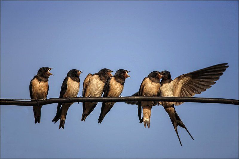 Этому дала!photo preview