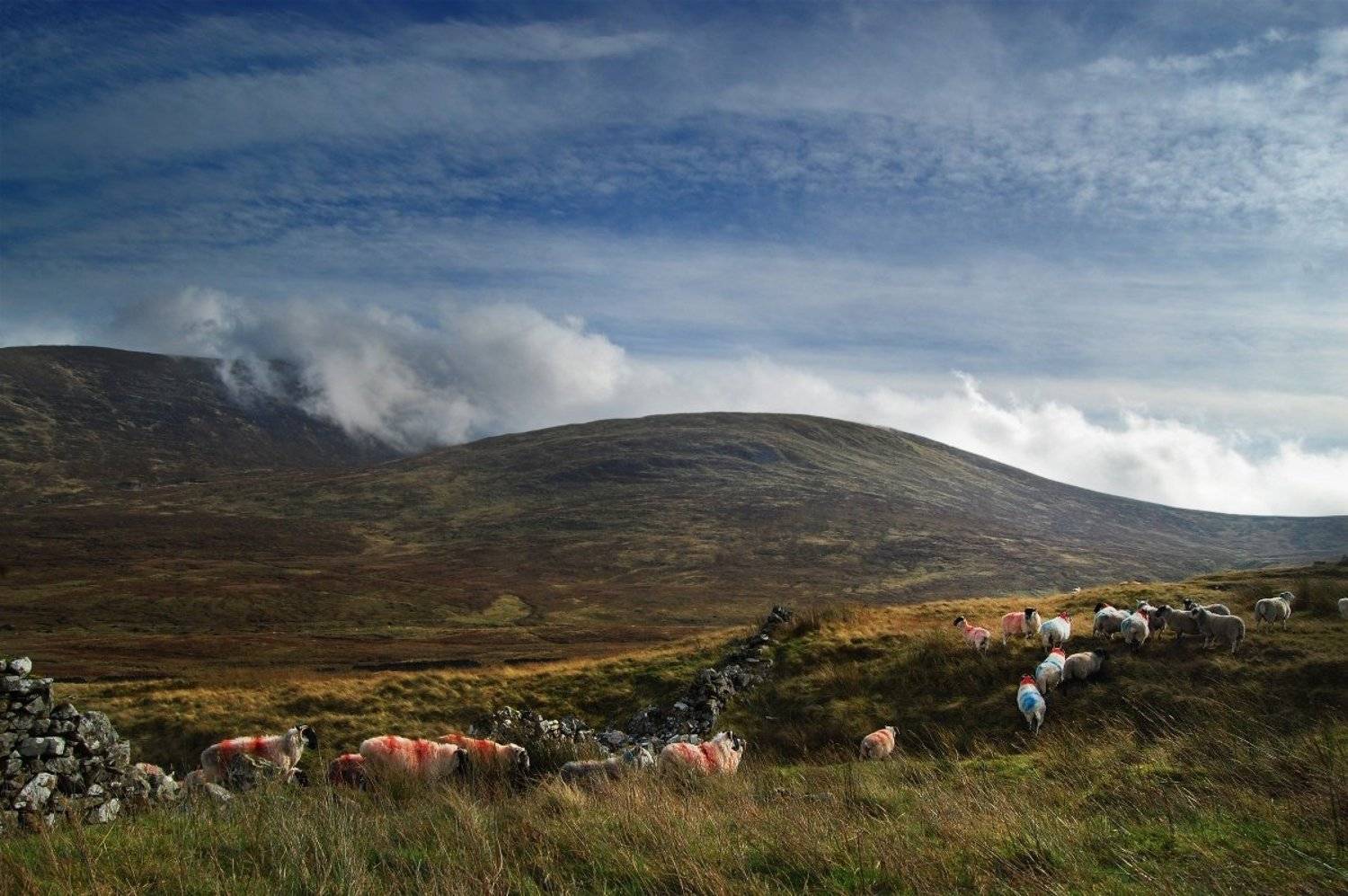 , Emilis Baltrusaitis