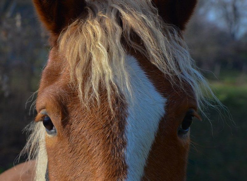 Блондинкаphoto preview