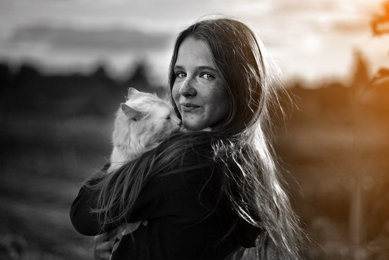 Вечер, Девушка, Закат, Кот, Россия Сенокосphoto preview