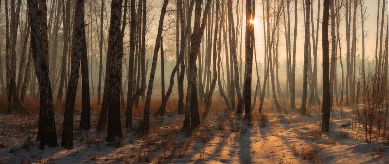 В морозной тишине фото превью